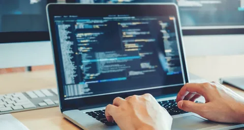 Web Design and Development services